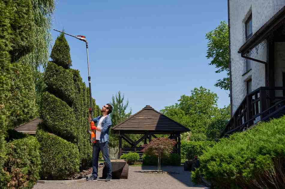 Outdoor & Landscaping: